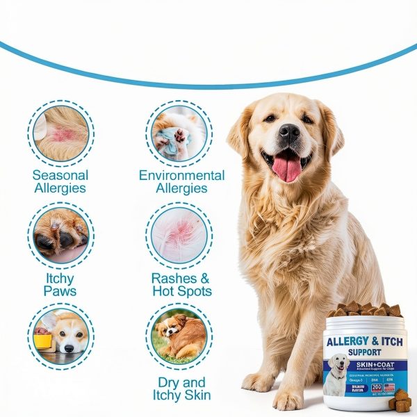 Dog Allergy Itch Chews ColEaze Salmon Flavor 200ct-2