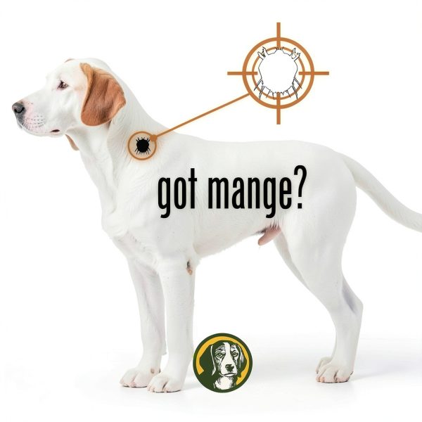 Happy Jack Mange Treatment for Dogs OTC Skin Remedy-5