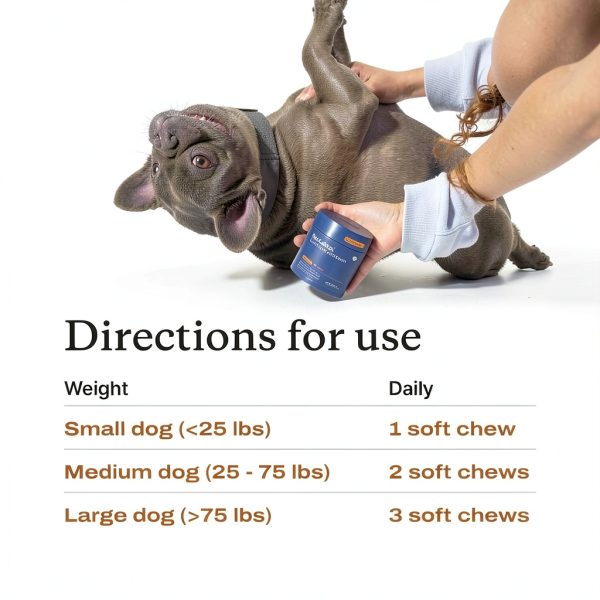 PetLab Co Itch Relief Chews for Dogs Skin Support-5