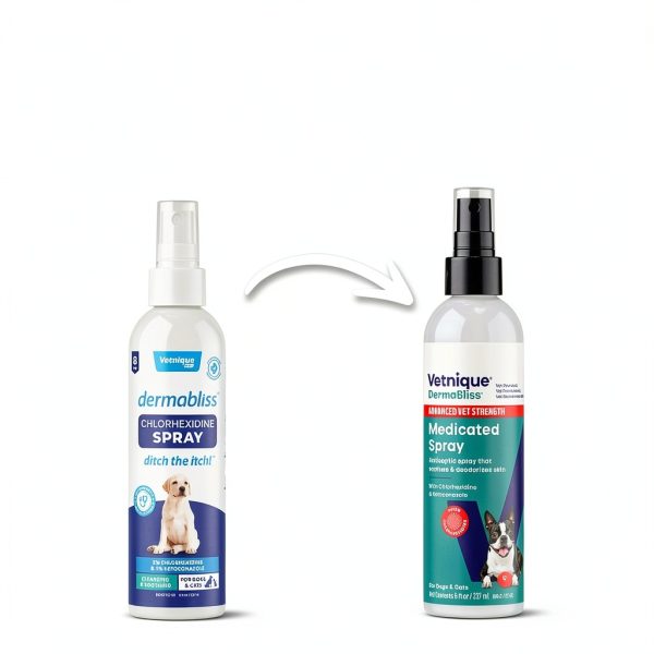 Dermabliss Chlorhexidine Spray Dogs Cats Skin Care-1