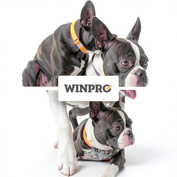 WINPRO Allergy Soft Chews Dog Itch Relief Natural-2