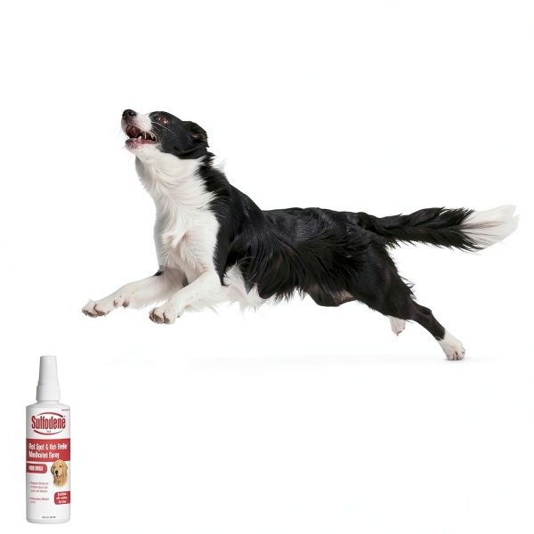 Central Garden Pet Medicated Spray Itch Relief Dogs-1