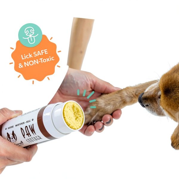 Natural Dog Company Paw Balm Dog Itch Remedies All Natural-1