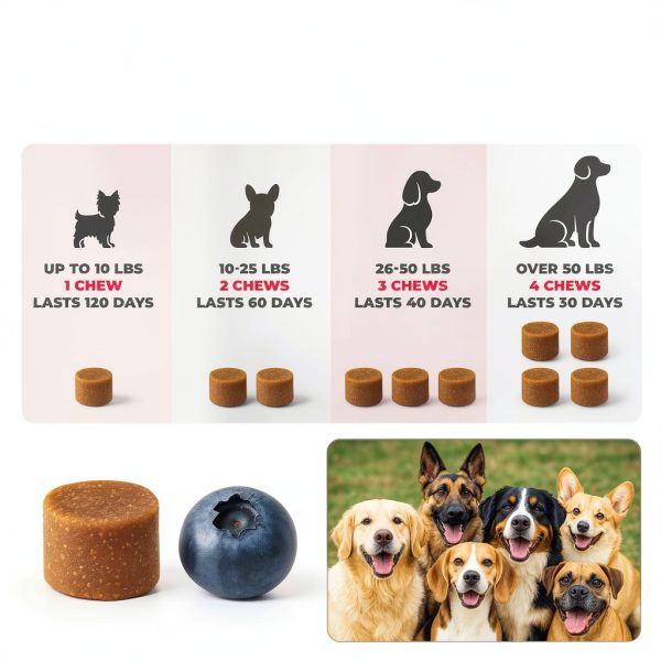 Mighty Petz Dog Allergy Chews Itch Relief Skin Support-4