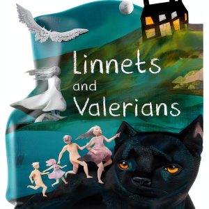 David R Godine Childrens European Historical Fiction Kindle-0