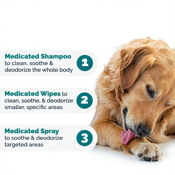 Dermabliss Chlorhexidine Shampoo Dog Cat Skin Care-6