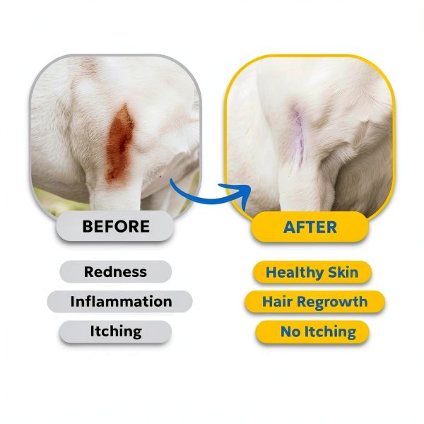 Lidan BlueButter Hot Spot Gel Pet Skin Treatment-5