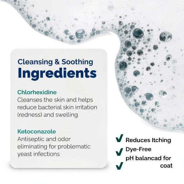 Dermabliss Chlorhexidine Shampoo Dog Cat Skin Care-4
